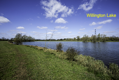 Willington Lake